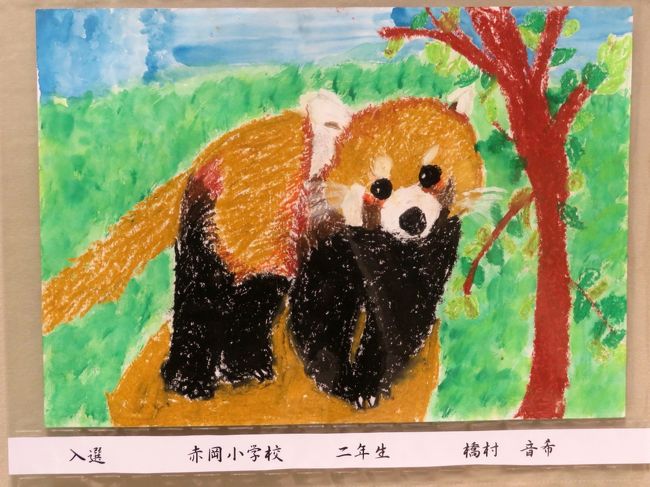新春レッサーパンダ遠征はバスでめぐる四国３県３園再訪と温泉の旅 ７ 高知編 トロトロ美人の湯宿 高知黒潮ホテルの前泊から高知駅前の庄やの海鮮グルメと高知みやげまで 南国 土佐山田 香南 高知県 の旅行記 ブログ By まみさん フォートラベル