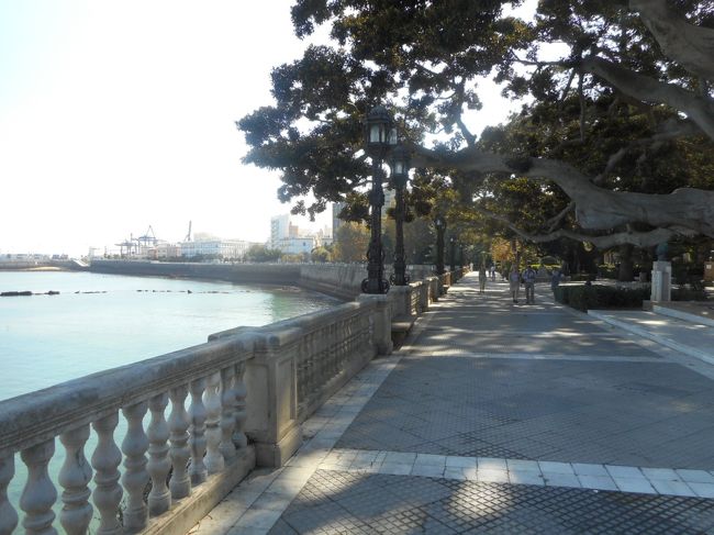 海沿いに遊歩道があります。