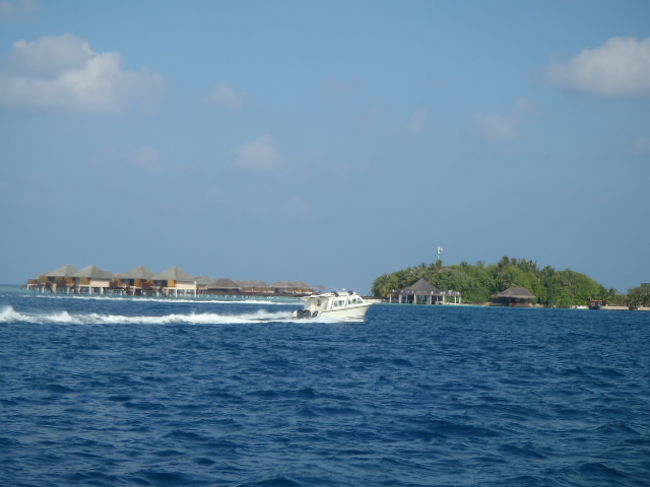 首都・マレから近いリゾートアイランドの、<br />５★ヴァドゥアイランドリゾート・ダイビングパラダイスだろう？<br />