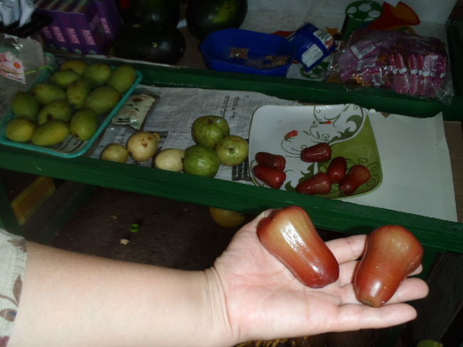 珍しい物を見つけたパートナーが食べてみたいと言うので、<br />試食してみたウォーターアップル？<br />お店の人の話だとマレーシアから入って来て、今はモルディブでも栽培している。<br />と話していたが・・・