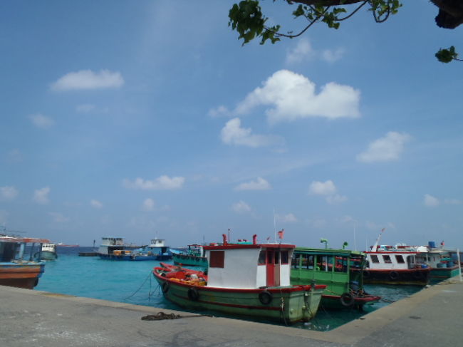 お店から少し先にある商業用の港まで足を延ばして・・・