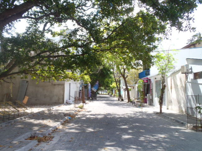 出掛けてしまった後なのか？