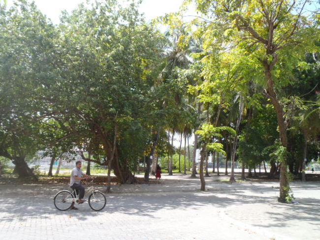 通り抜けて住宅街みたいな感じの場所にでた。