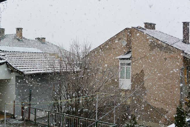 また雪が降り出しました。