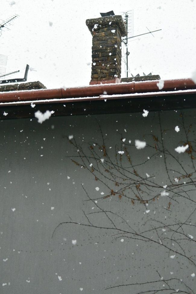 また雪が降り出しました。