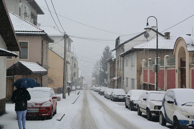 雪が降っては溶けてで、根雪にはならないけど、またこの日も雪でした。