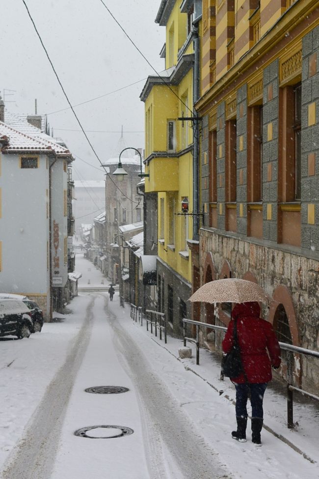 雪の中お買い物へ。
