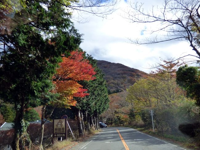 色付く木々を見ながら