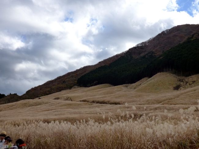 穏やかな晩秋の