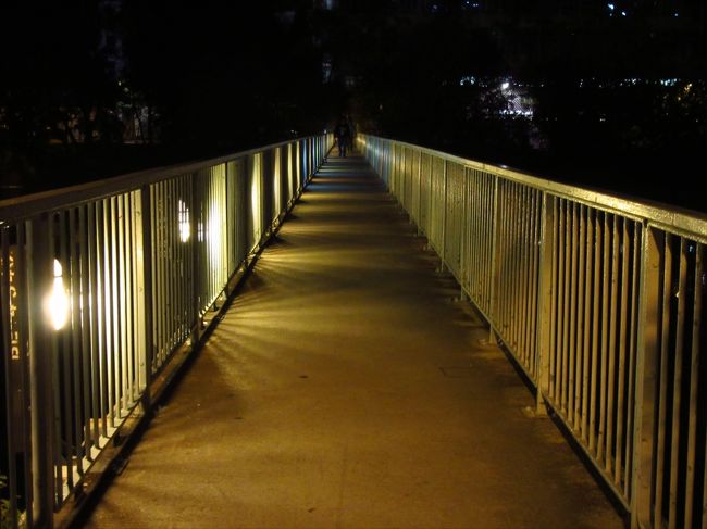 一旦家に戻り、休憩して、娘をお風呂に入れました。そして夜、またお出かけ。MTRの車公廟駅で下車し、橋を渡り、香港文化博物館へ。