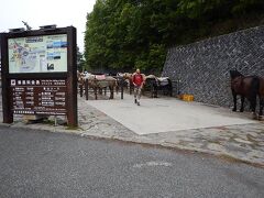 1時間ほど滞在していよいよ登山開始。
まずは平坦な道を進む。途中まで馬に乗っていくこともできるようだ。