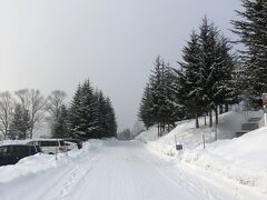 トマム方面へ向かう高速道路は路面が白く凍ってはいましたが、スタッドレスタイヤで四駆の車ではほとんど滑らず、順調に２時間でホテルに到着。
樹木の種類もやっぱり、関東とは違って、北国にきたなぁと実感。
ホテル敷地内に入ると、路面も真っ白。
ホテルの前の車止めで子供、荷物、私を下ろして、主人だけ駐車場へ。