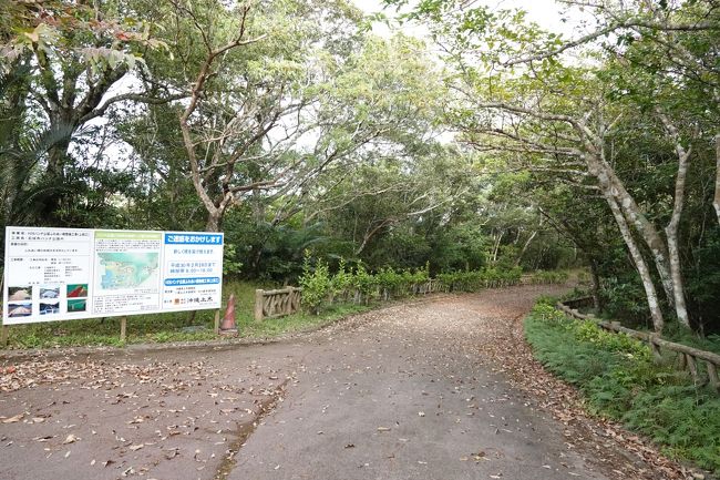 　こんな感じの散策道を歩いていきます。<br />　<br />　落葉樹もあるのですが、本土と違って常緑広葉樹も多いんですね。<br /><br />　ですからいかに石垣島と言えども冬の風は強くて寒いのですが、これらの常緑樹林が風を防いでくれているのでとても気持ちが良いのです。