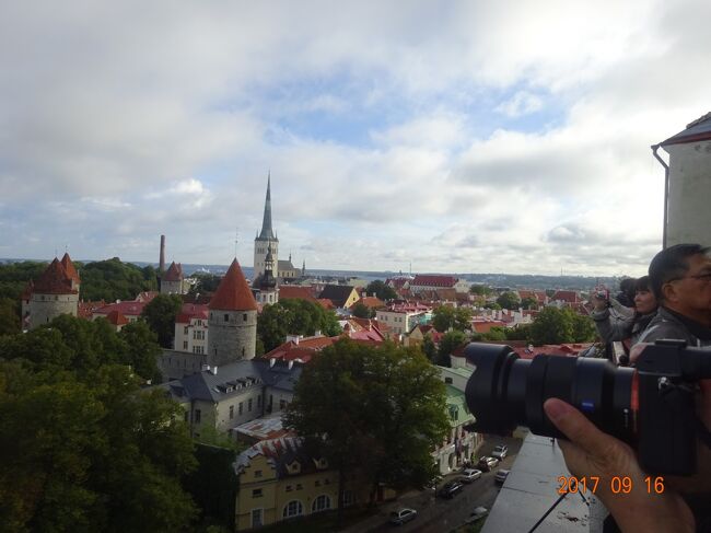 トームペアの丘からの眺め