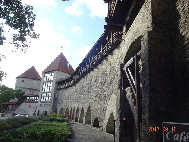 デンマーク庭園の城壁の上がカフェになっていますので、ここで珈琲を飲み一休みです