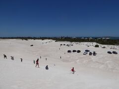 12月25日
パースの北方約130 kmにあるランセリン砂丘（Lancelin Sand Dunes）にやってきました。「西オーストラリアの雪」と呼ばれているそうです。4WDだと砂丘の中に少しだけ進むことができます。レンタカーは4WDでしたので、砂丘の麓まで行ってみました。車の走行跡を見逃さないように慎重に走りました。
大型扁平タイヤを履いた車が観光客を乗せて、砂丘を自由に走り回っていました。