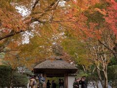 次に訪れたのは安楽寺。ここは散りもみじで有名ですが、朝一番に来ないとそれは見ることができません。

安楽寺は、法然上人が、非業の死をとげた弟子の安楽房・住蓮房を弔うため、1207年に創建。
