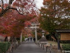 鷺森神社。紅葉の参道があることを知らずに、うっかり通りすぎてしまいました。