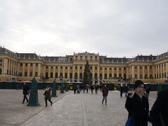 マリアテレジアが愛したハプスブルク家の夏の離宮【シェーンブルン宮殿】へ
夏の離宮と言われる割には電車ですぐに行けます。
中は撮影禁止。
大ギャラリーはパリのヴェルサイユ宮殿を彷彿させます。必見。