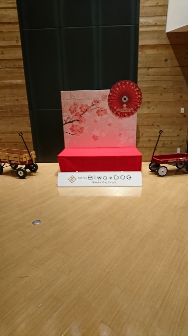 滋賀県にあるビワドックという犬と泊まれるホテルに行きました♪