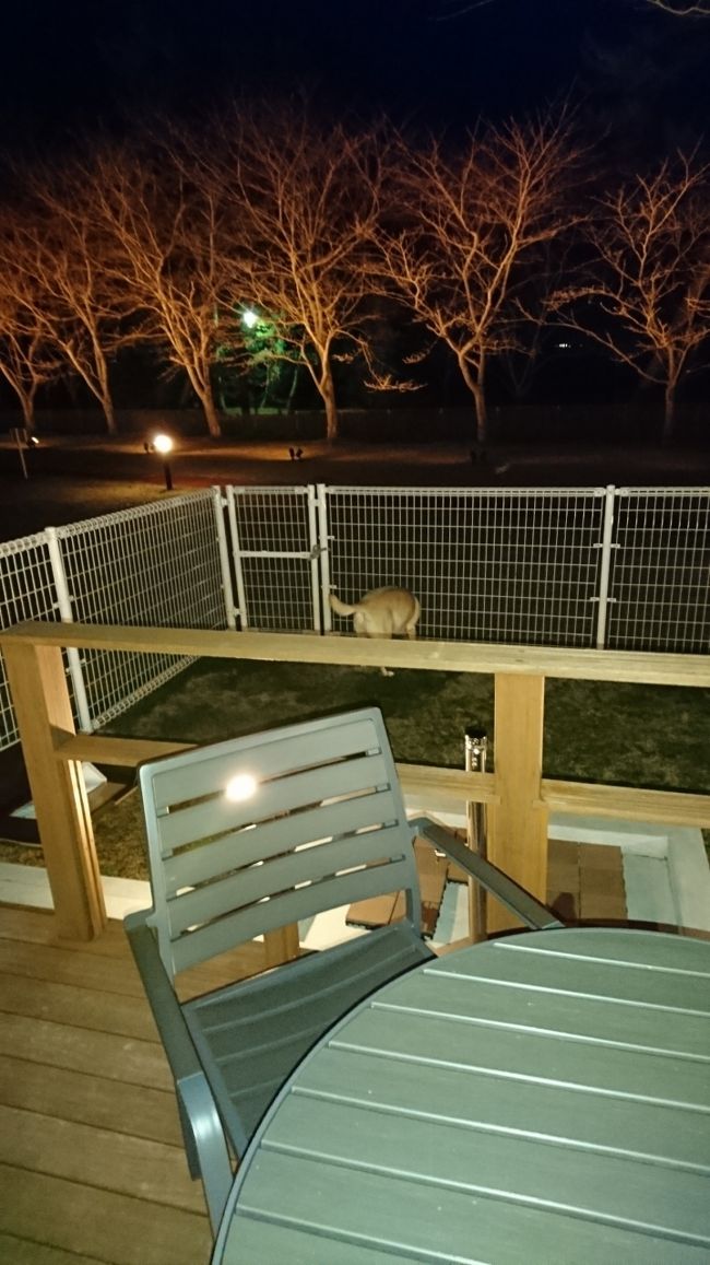 コテージタイプの部屋に泊まりました♪食事も美味しくて、愛犬用の食事もすごく凝っていました。ぜひまた行きたいです♪