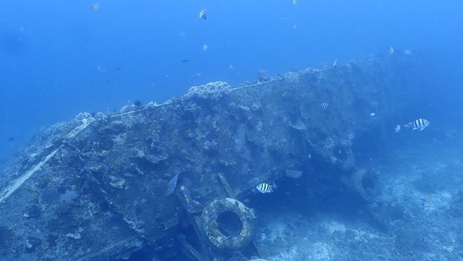 透明度が良い時はダイビングスポットの沈船が水面からでも見えます。