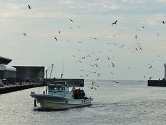 船が入港する度にたくさんのカモメが飛び交います。
のどかだなぁ。いつまでも平和な海でありますように。