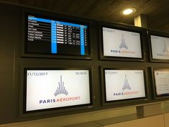定刻でパリ-シャルル・ド・ゴール空港に到着しました。
