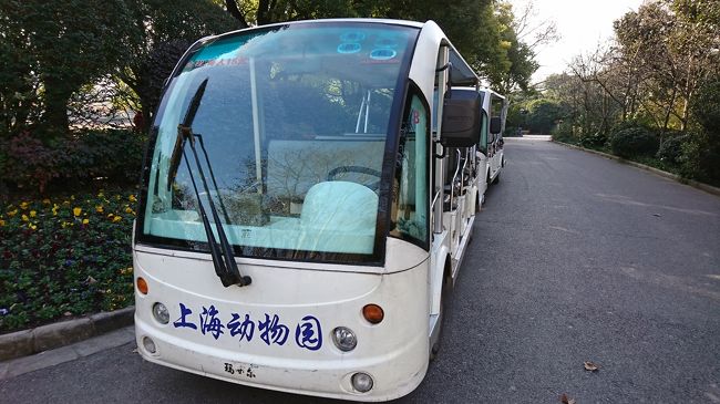 上海で動物園とディズニー 上海 中国 の旅行記 ブログ By さんじゃさん フォートラベル