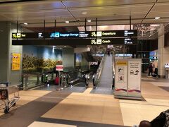 シンガポールに入国しました。
ここからは時間との闘いです。
降機開始したのがおおよそ22:10。
イミグレ通過が22:18。
ボーディングタイムまでは1時間ちょいしかありません。
早速上のフロアの出発ロビーに向かいます