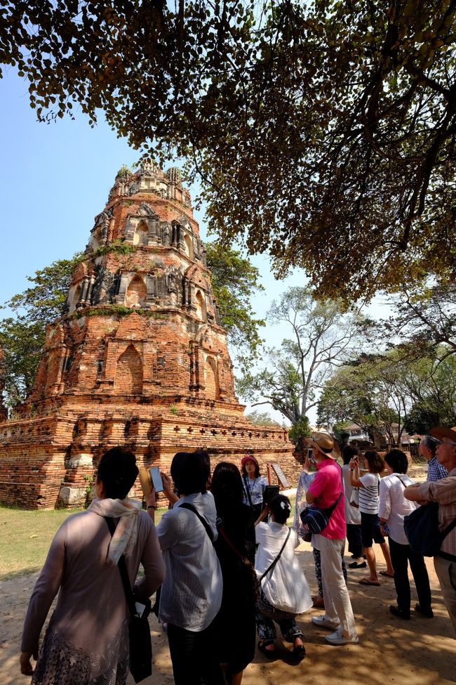 レンガを積み上げてできています<br />（ベトナムにミーソン遺跡と似ている？）