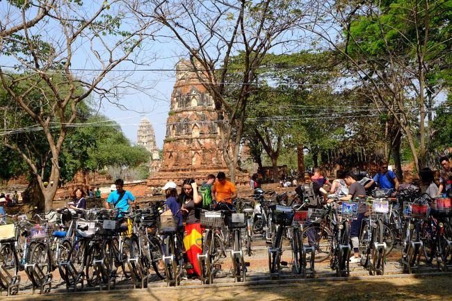 自転車で回っている人が沢山いました