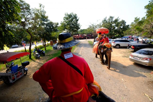 かなり高いでしょう