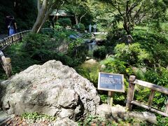 浜松公園内庭園。