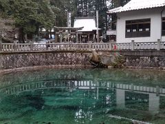 　まずは山口県の別府弁天池
池の水の色がエメラルド色で美しいです。以前行った時より水量は少ないです。