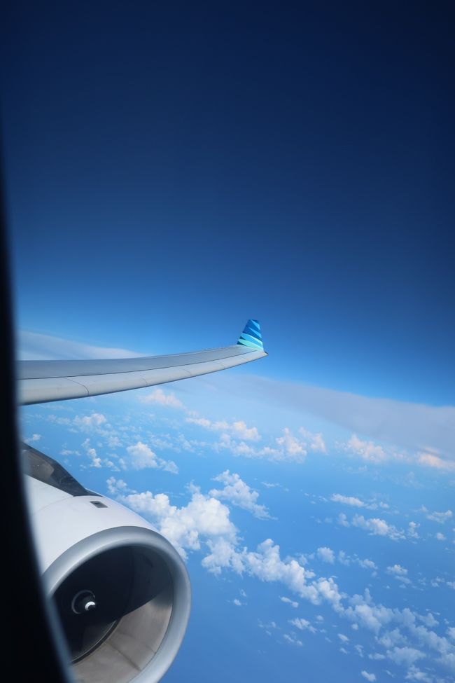 ご飯の後は、まったりタイム。<br /><br />私は飛行機では、スカイコンパスを見ているのが<br />好きなので、ウトウトしながら外を眺めてたら<br />あっという間に時間が過ぎます。<br />