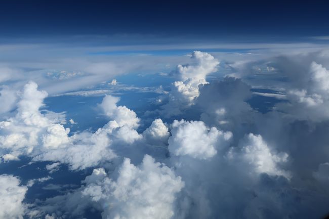 甘いんだかすっぱいんだか<br />微妙なフルーツプレートを味わって<br />そうこうしている内に、着陸態勢。<br />でもって、一番最初に降りた私(笑)<br />