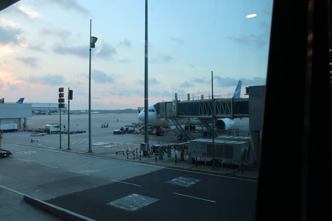 あっという間に、ジャカルタに到着<br />しました。<br />ありがとう～初ガルーダ機♪<br /> <br />イミグレに向かう途中で、おっさんに<br />ぬかされたけど、2番手でイミグレに<br />到着・・・サクッと通過。<br /><br />なんか運動会の、徒競走な気分。<br />ってか、外人向け…3つしか窓口が<br />開いてなかったよ(;^_^A <br /><br />他の飛行機の乗客がいなかったから<br />そこまで混んでなかったけど<br />少し時間かかりそうですね。<br /><br />私の荷物は、そのままバリで受取なので<br />真っ直ぐ出口へ向かいます。<br /><br />長～い通路を、えっちらおっちら歩いて<br />出口を出ると、敷地内奥右手に<br />エレベーターと、手荷物検査場があります。<br /> <br />その手荷物検査で、国内線のチケットを<br />見せて、手荷物検査をくぐると<br />出発階行のエレベータに乗る事が<br />出来ます。<br /><br />事前にガルーダの乗継の仕方～を<br />確認したんだけど、手荷物検査が<br />あるっては、書いてなかったなぁ…<br />私は道を間違えたんだろうか…