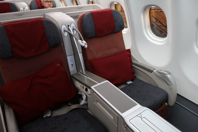 こちらもビジネスクラスです。<br />Air Bus330-300？だったかな？<br />さっきの国際線より、ちょっと小さいです。<br /><br />私の隣は、またもや空席♪