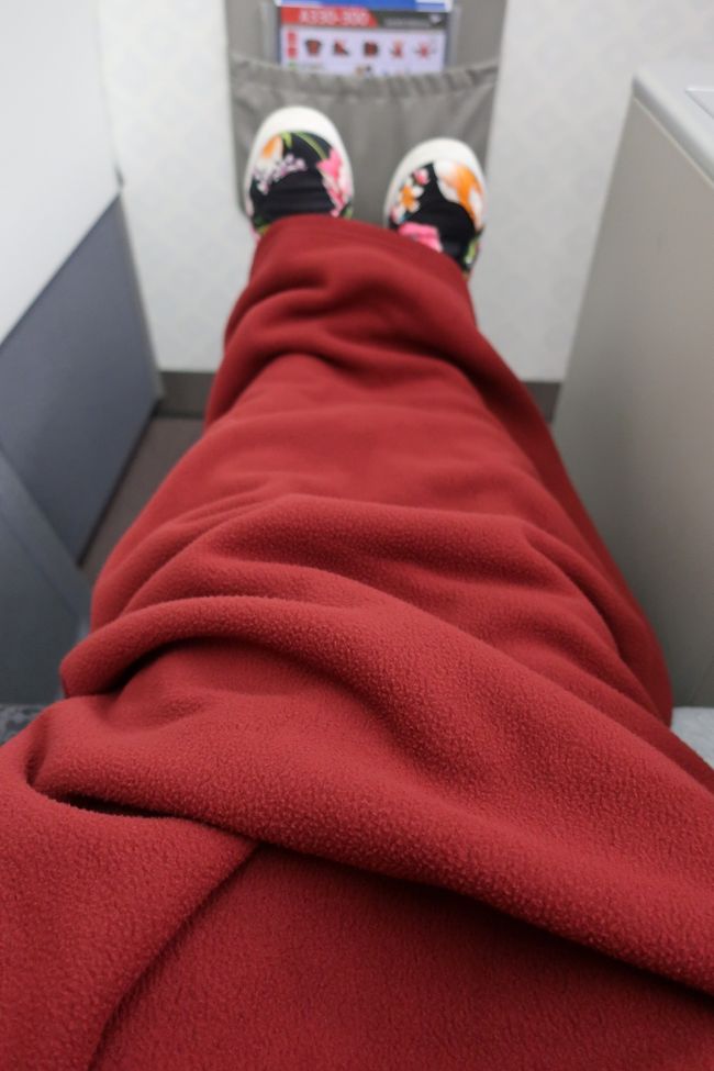 国際線とちがって、フリース素材？な<br />ブランケット…