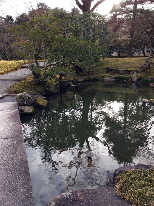 真冬の仙洞御所』二条・烏丸・河原町(京都)の旅行記・ブログ by コタ