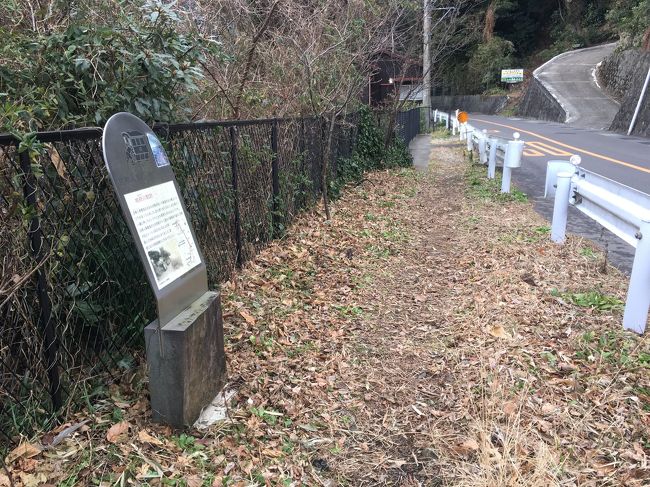 押す人達はみんなライザップ級の体してたんだろうな…そこっ！？（笑）