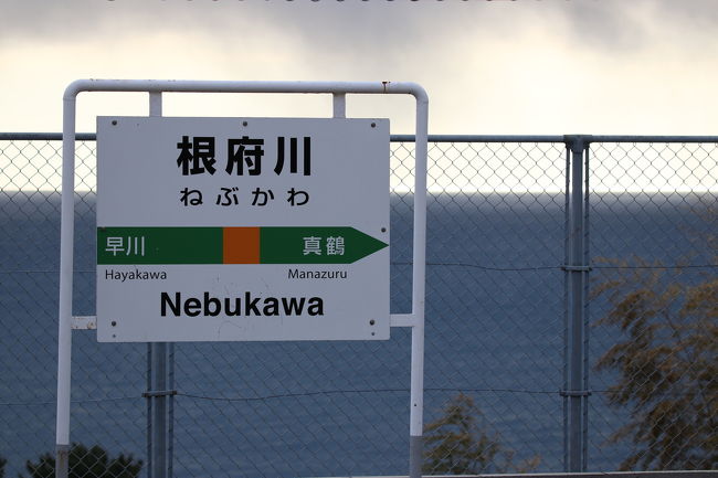 小田急線から東海道線に乗り換え、根府川駅に到着！天気予報では晴れ時々曇りの予報だったのに雨雲なのか雪雲なのか怪しい空…ちょっと心配。