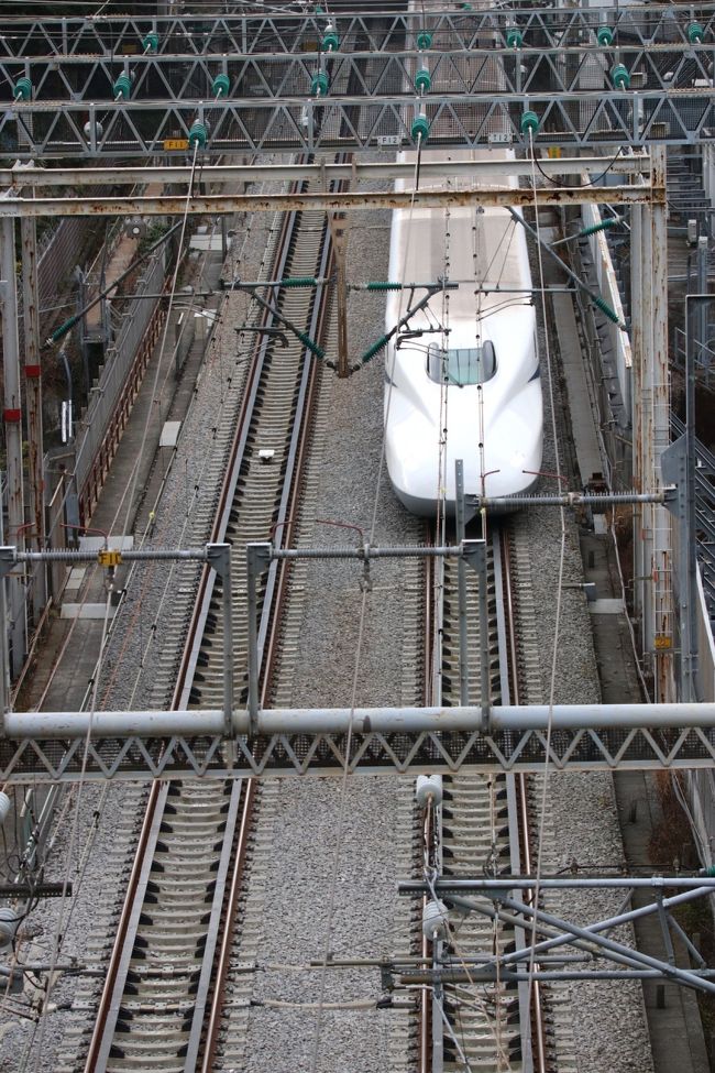 と思ったら、新幹線があっという間に通過していきました♪新幹線に乗ってたらこの海の景色を楽しむ余裕なんて無いですねー（笑）