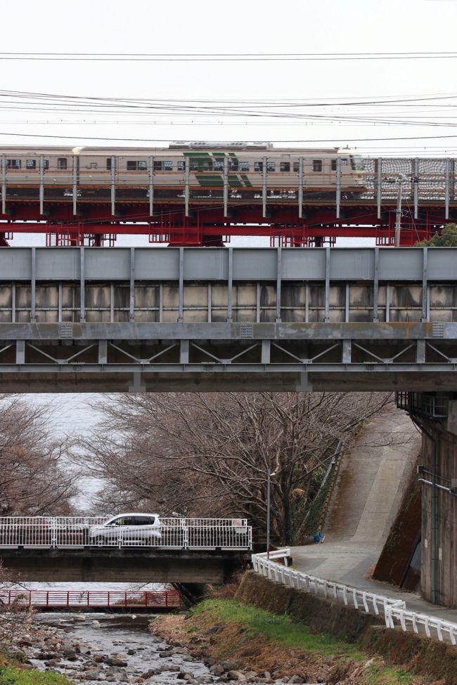 川の真ん中まで来ました！ここからひたすら山道を登ります。