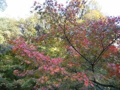紅葉にはちょっと早かったです。徳川園(^^♪