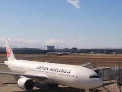 前日に帰省Uターンして、さっさと準備してチェンマイ行くのに羽田空港国内線。
体調悪く声がまともに出ません。