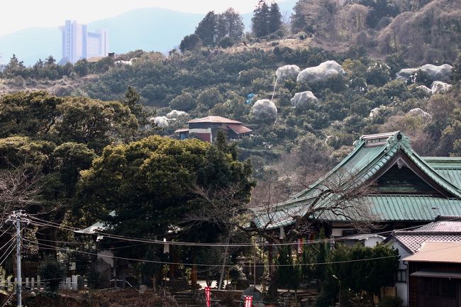 平安時代末期の佐奈田義忠という武将が葬られている、佐奈田霊社付近からヒルトン小田原リゾート&amp;スパを望む。