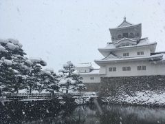 駅に着いたときは雪がそうでもなかったですが、富山城についたあたりでものすごい降りになってきました。雪のお城風情あります。頑張って雪の中城址公園の中まで行ってみました。