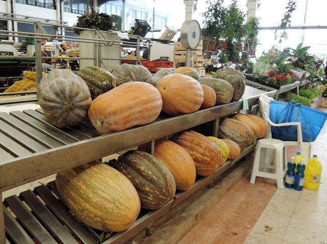 この大きなかぼちゃは何に使うのかな？<br />